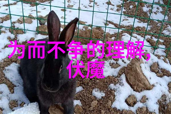 中国道教著名人物我与老子一个现代人的对话