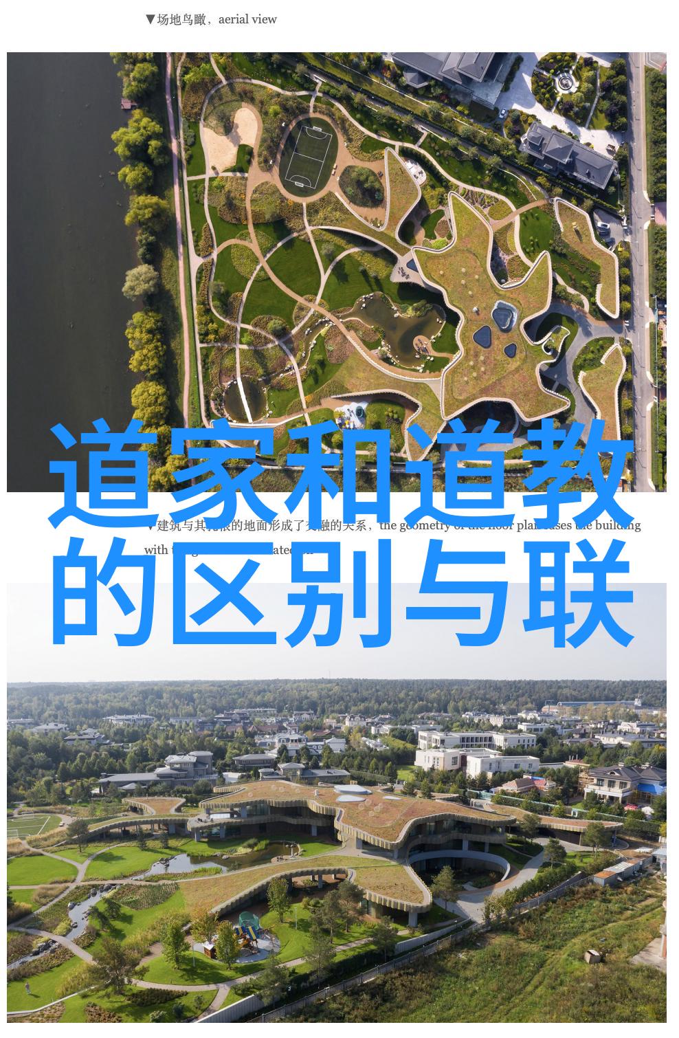 从无为而治到不争探索老子的政治理念