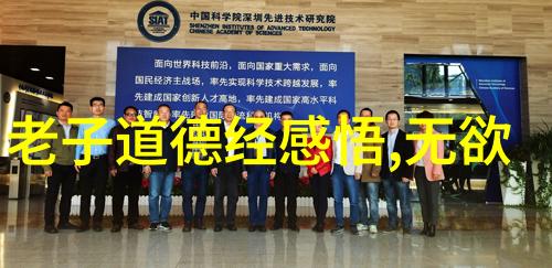 在历史长河中道家的理念怎样影响了社会发展