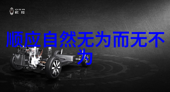 奇门遁甲入门基础学视频教程全集揭秘古代神秘术数的艺术与实践