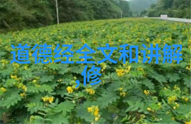 道法自然中国近代道家代表人物的逆袭传奇