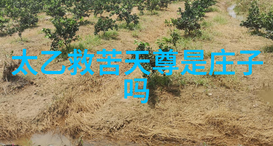 隐逸之地六类人士应避的古老道观