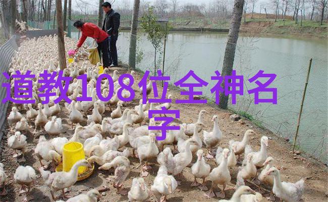 八字真言口诀精髓古代占卜术的智慧集成