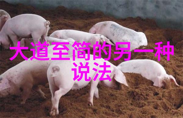 道者之谜隐秘的自然哲学与无为的智慧