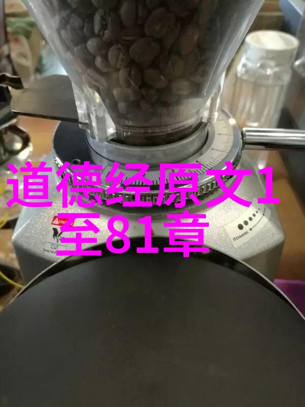 在文字的海洋中漂泊小说家的思想主张探秘