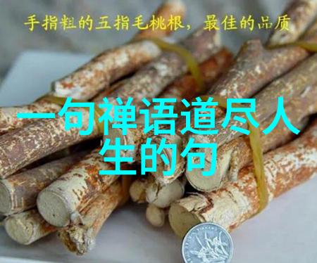 古诗词之美探索经典名篇中的韵律与意境