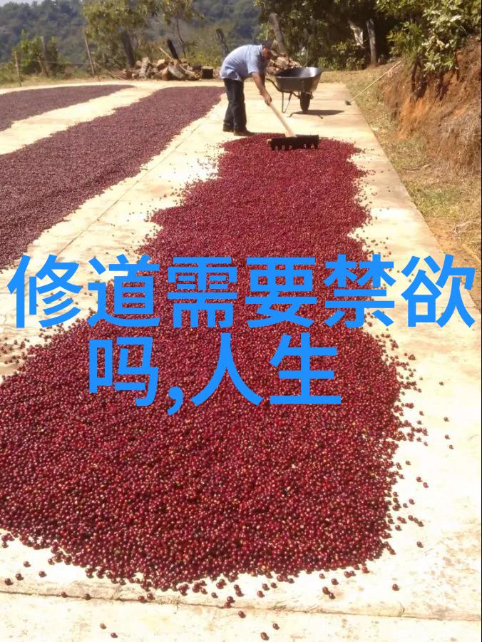 道家经典我亲手揭开的六十四卦秘籍