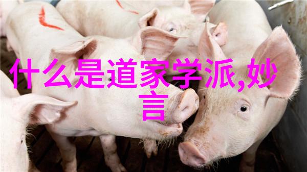 精神修养与大道至简的实践方法
