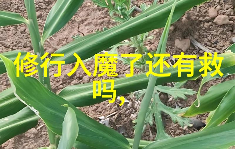 道法自然追寻生命之本真自在的艺术