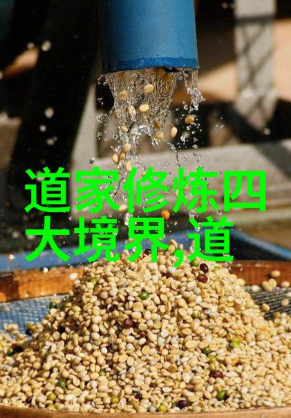 现当代道家厉害的人物-道韵传承探索现代时代的道家大师
