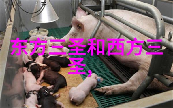无尽的药方探索则无不治的医学奇迹