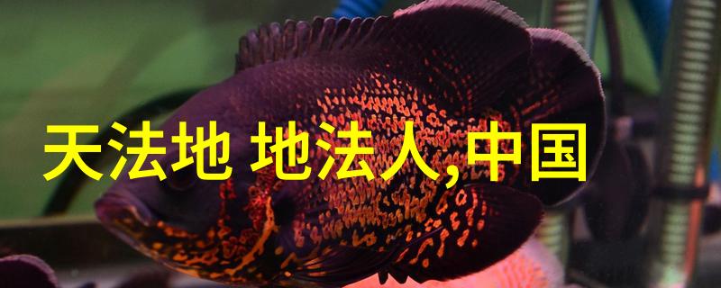 道法自然老子智慧的全文探秘