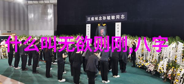 藏历新年雪域盛世民族大庆