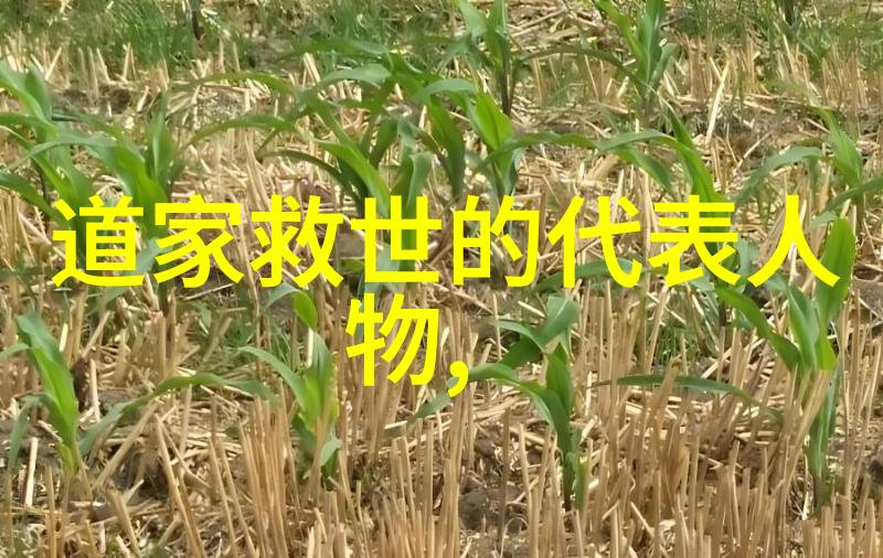国家为什么后来禁止气功了-气功禁令背后的政治与健康考量