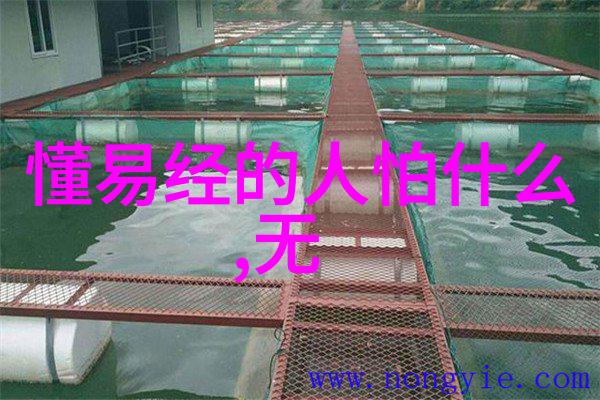 普通人学道术的心得体会与实践技巧分享
