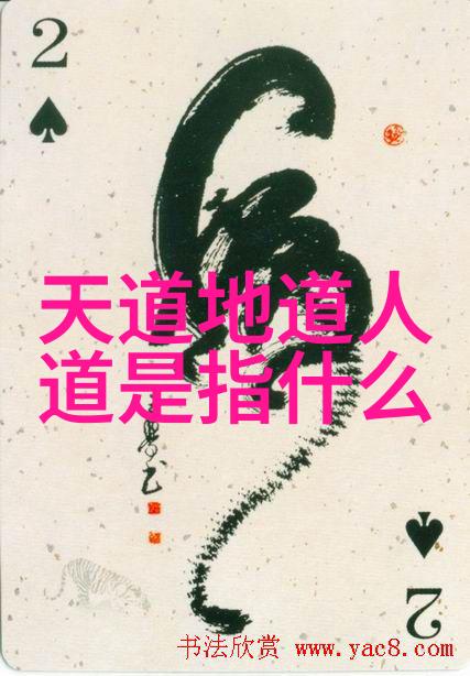 实时观看双人床上做的运动扑克我是如何在直播间看到了他们在床上玩扑克的