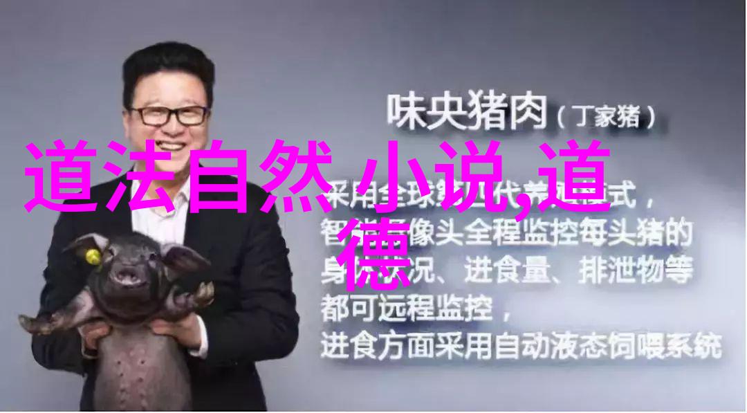 无为故无败哲学智慧中的内在力量