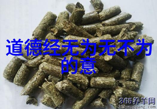 道法自然探秘内丹术与修炼之谜