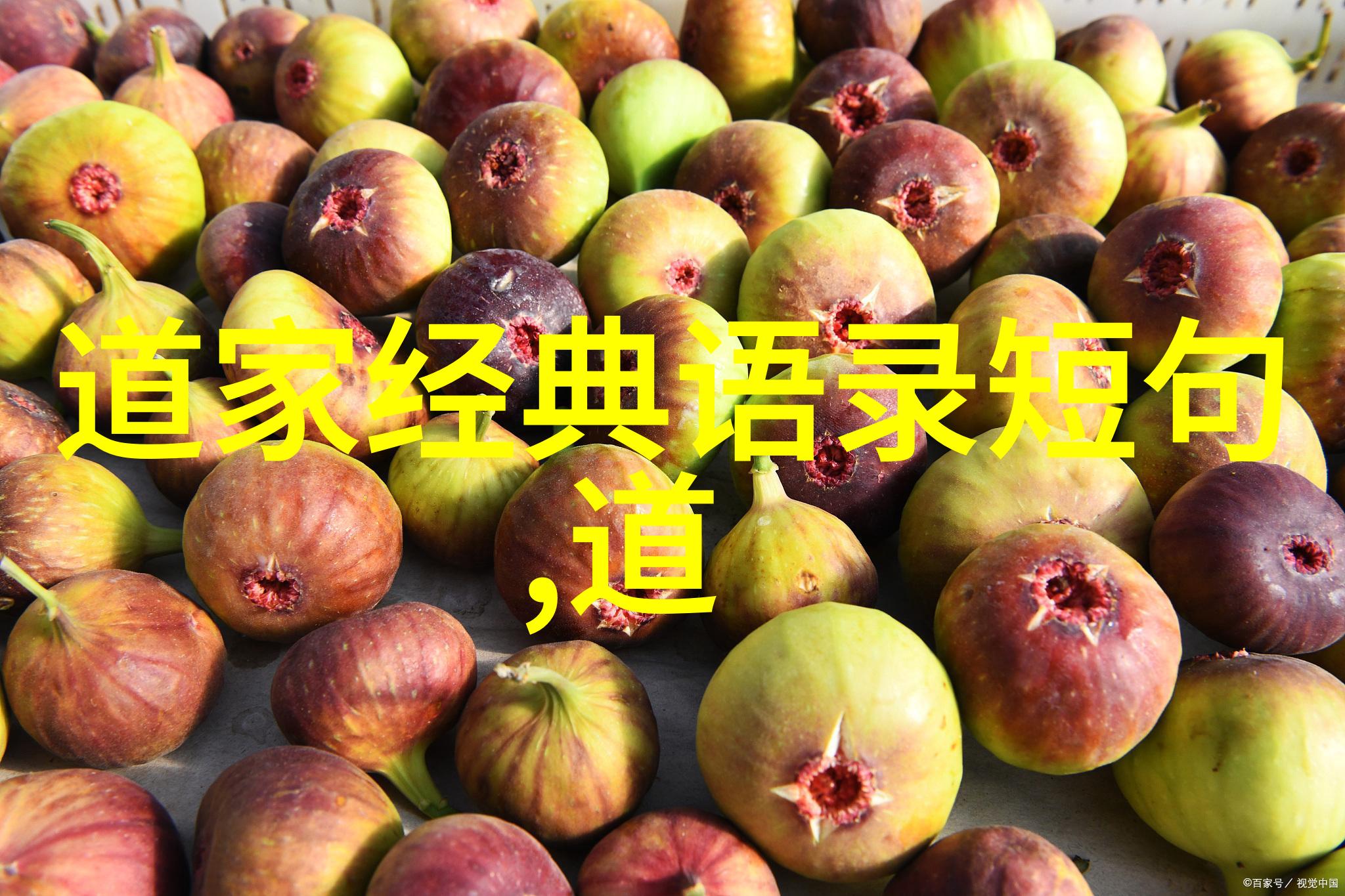 撞击两颗心在逆潮中相遇