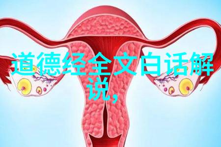 探索道家智慧从老子到张三丰的哲学与武功