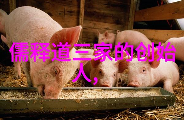 探索大道之行通往智慧的道路