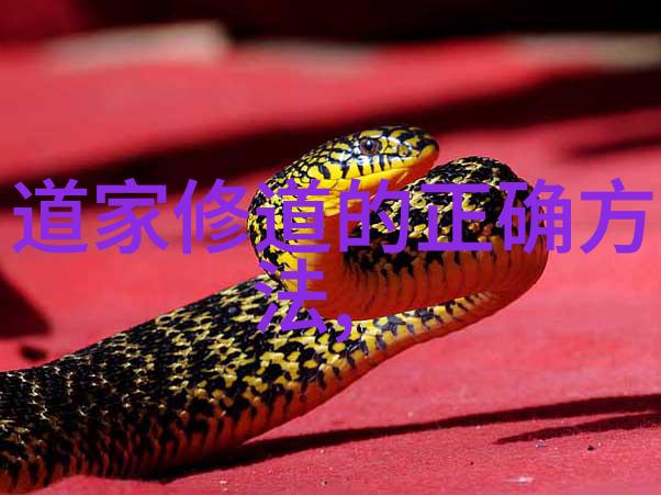 道德经全文解读探索儒家哲学之精髓