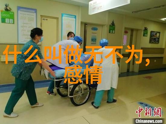 道家道法自然-随缘而行探索道家哲学中的自然