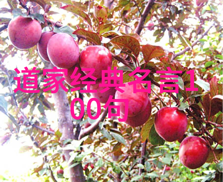 主题我是怎么懂得老子那无为而无不为的秘密的