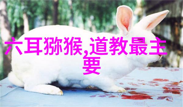无欲则刚揭秘女生心中深藏的哲理与力量