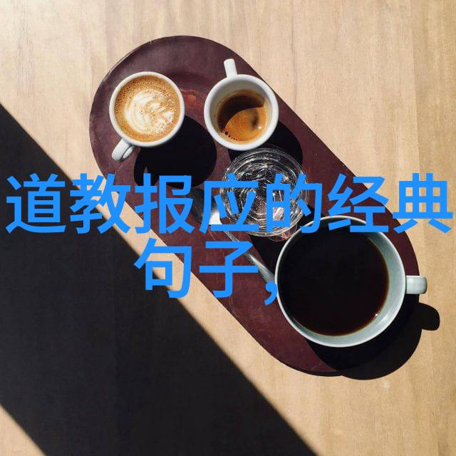陆九渊在道家思想中的地位及贡献