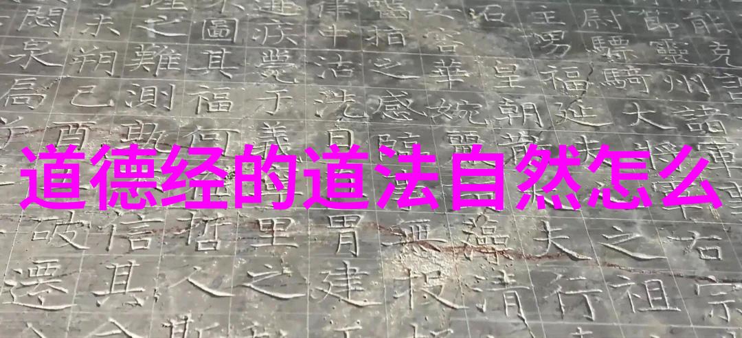 锦鲤收藏美丽水族的精致生活