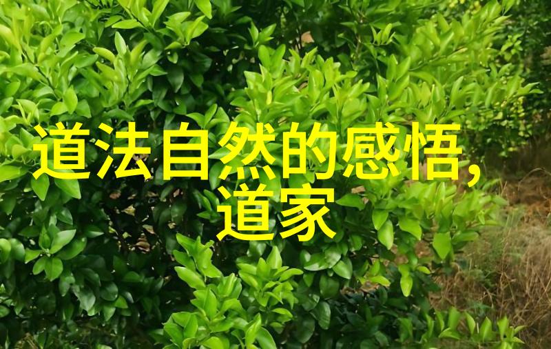 天界巨擘鸿钧老祖平级神祇的荣耀