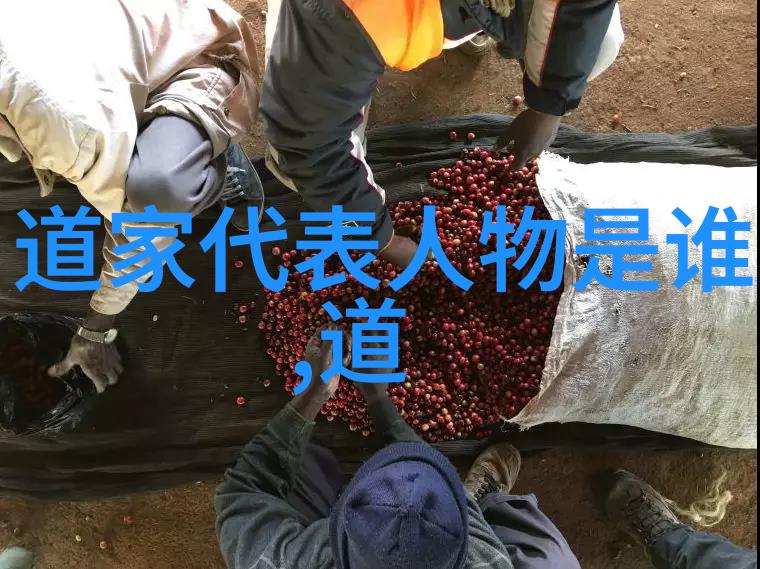 一句话一生精准把握每个字洞悉道德经第一个节目的奥秘