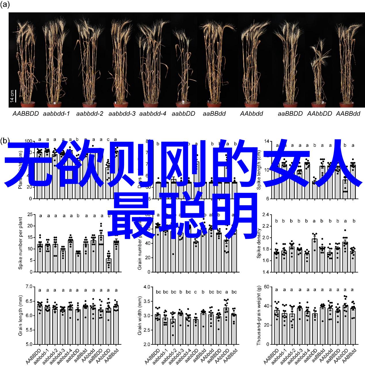 道教三大祖师爷老子张道陵与关羽的传说