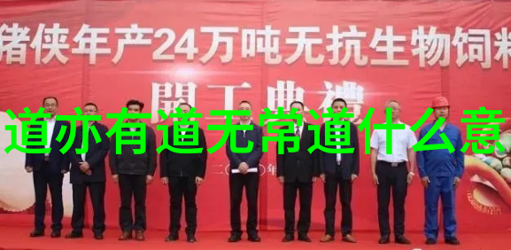一品江山权谋纷争与爱恨交织的传奇故事