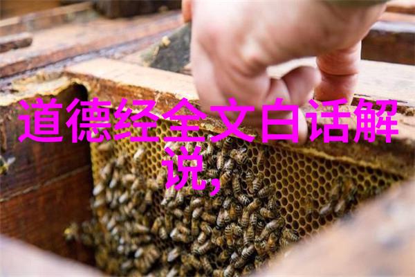 古籍研究与哲学探索帛书甲本道德经的文化价值及其对现代伦理学的启示