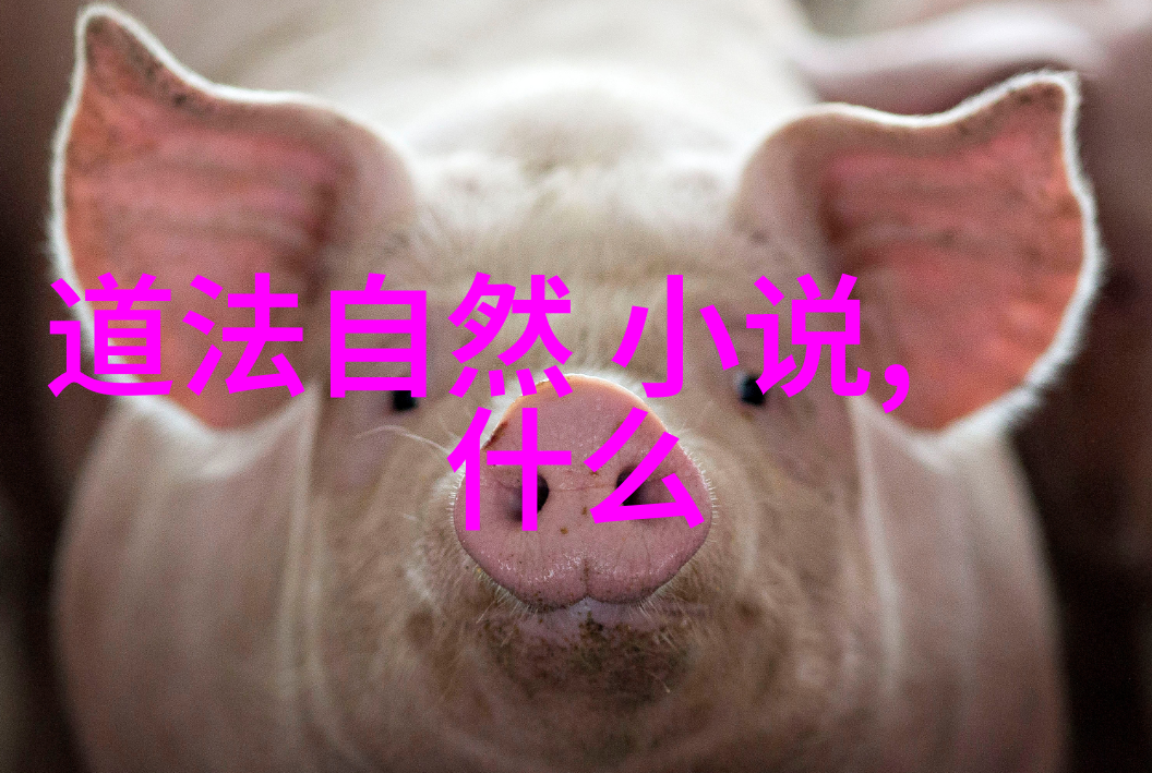 爱国之情与诗句李清照的政治身份探究