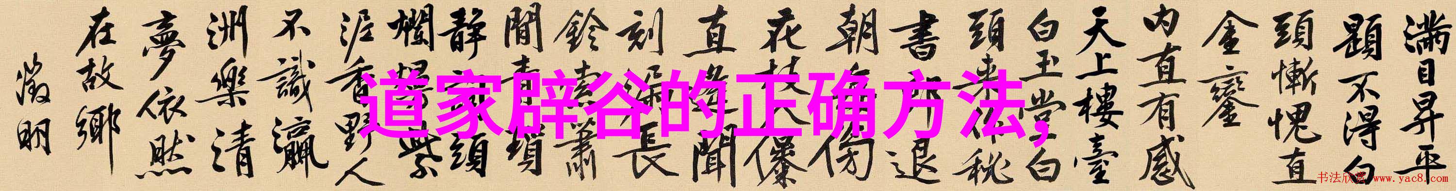 九尾狐姐姐的传说与故事简介