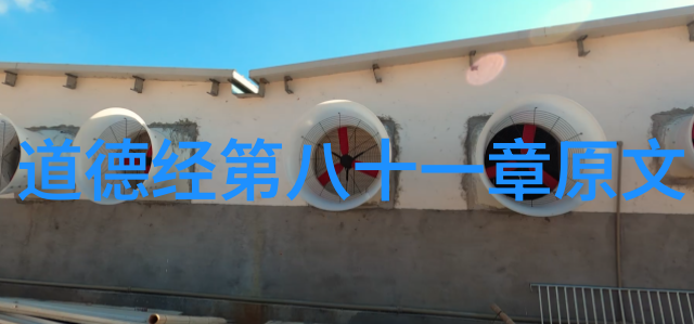 释放潜能实现自我道家的九字智慧实践指南