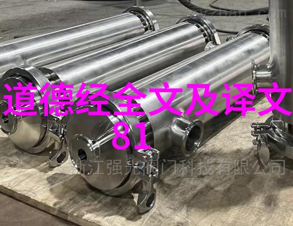 从顺其自然与主动追求庄子哲学中的平衡考量