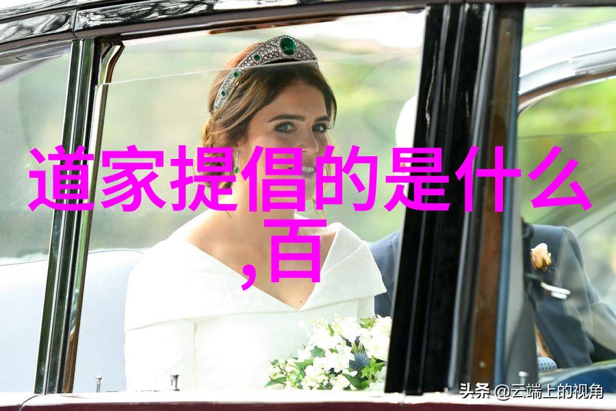 等风小说-迷失在文字的海洋探索等风小说世界