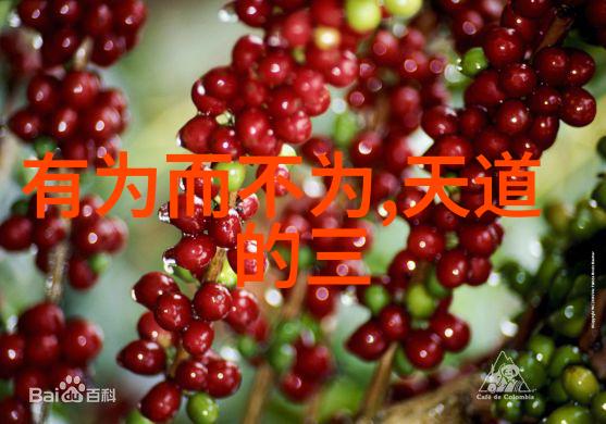 辩证思维在道家文化中的体现及意义解读