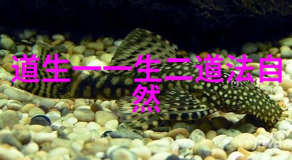 王弼对庄子的解读揭开其超脱世俗思想之谜