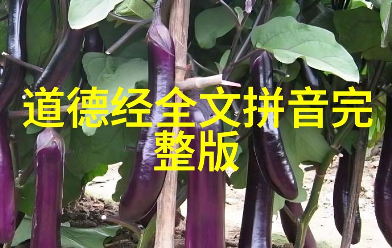 无为而治探索以无为而无所不为哲学在生活中的应用