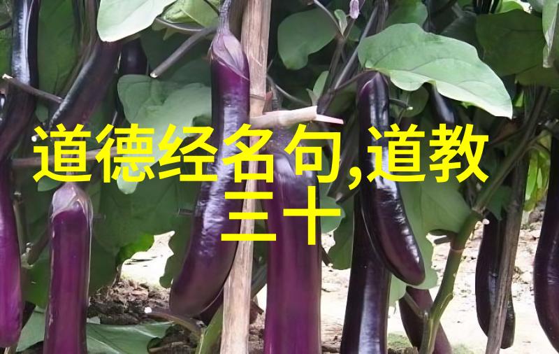 西江月绝妙好词乃周草窗所集也 张炎