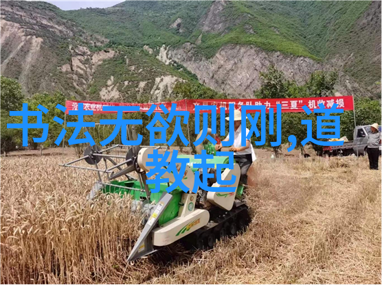 无所为而无所不为我是如何在生活中成为一名全职观众的