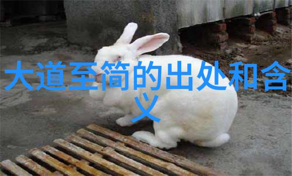 书法艺术探究传统文化与现代审美的交融书法学研究