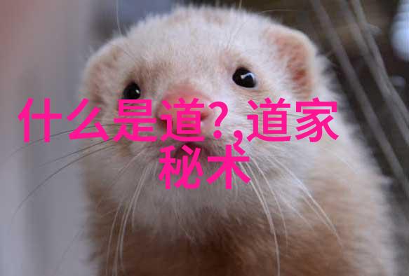 悟性与自然的完满-天赐灵感探索悟在天成之谜