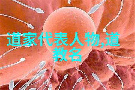 道教哲学的深邃之谜探索天人合一的智慧路径