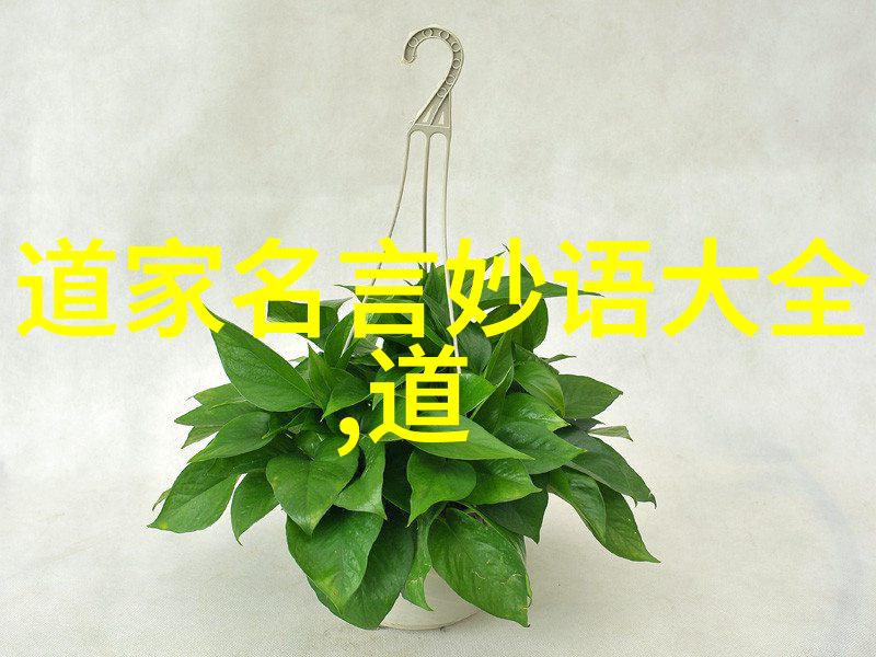 道者穿越时空的隐者